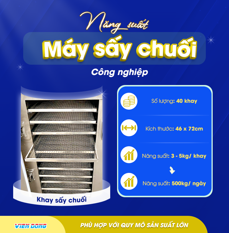 Máy sấy chuối công nghiệp