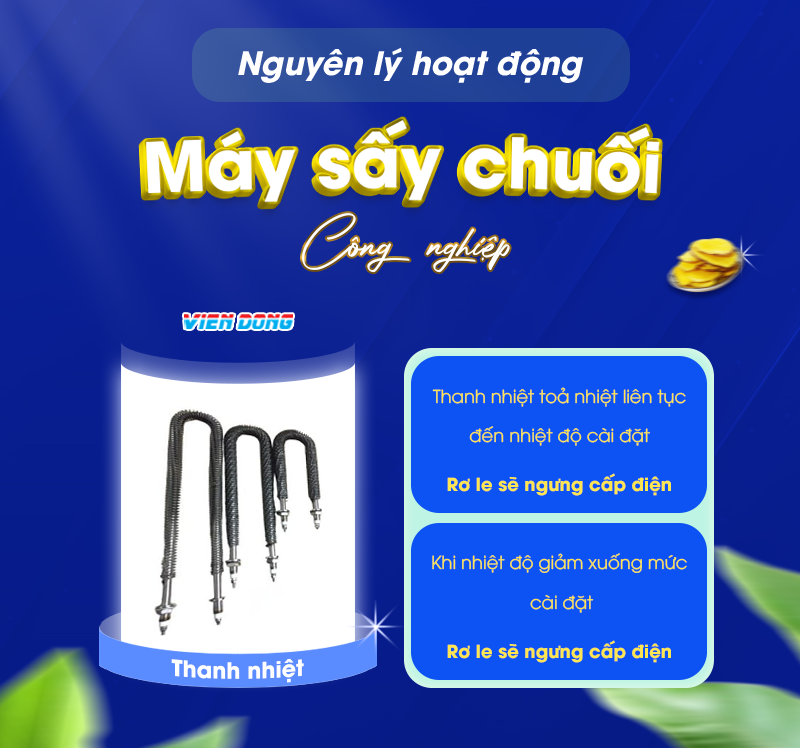 Máy sấy chuối công nghiệp