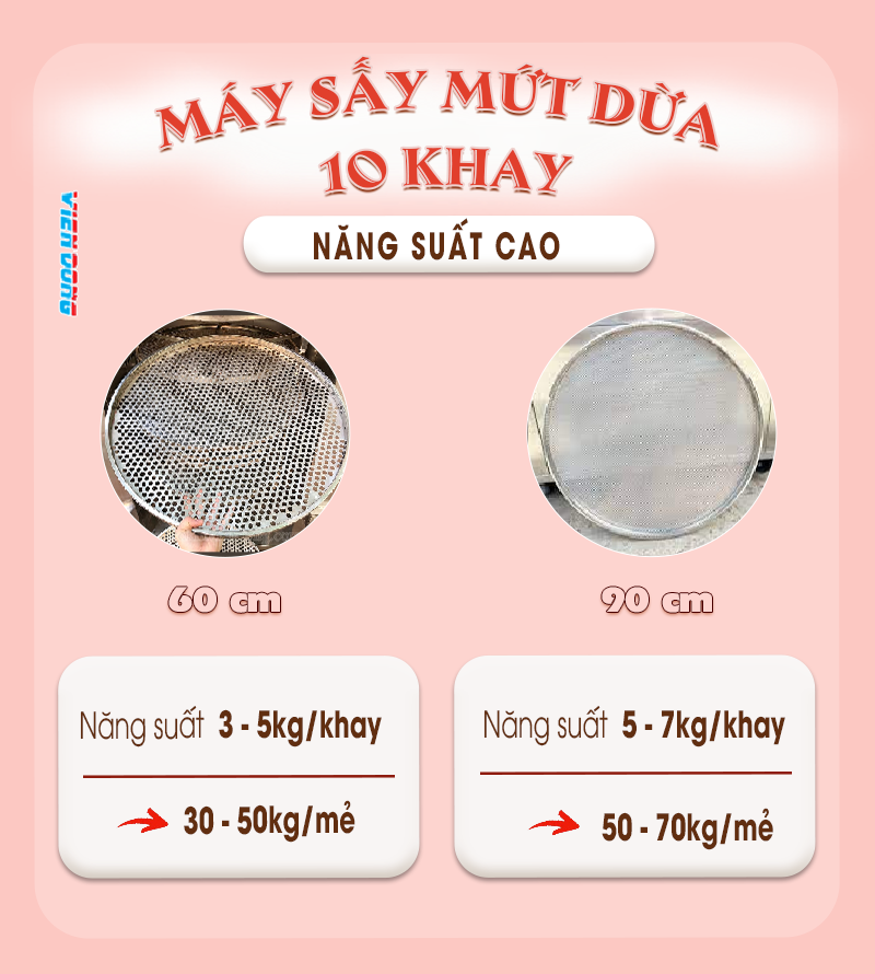 Máy sấy mứt dừa